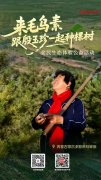 直播海报：来毛乌素，跟殷玉珍一起种棵树